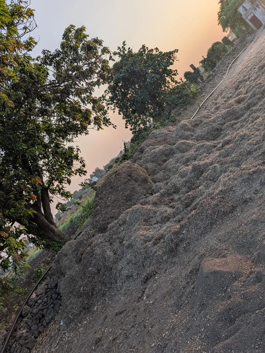 માંડવીનો ભૂકો વેચવાનો છે