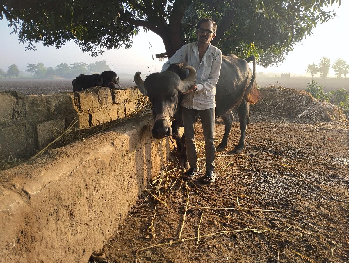 થંબનેલ 3