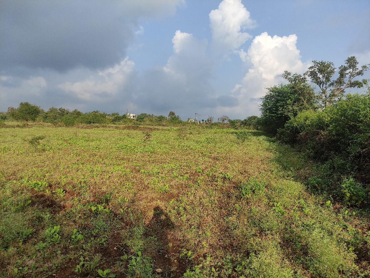 થંબનેલ 3