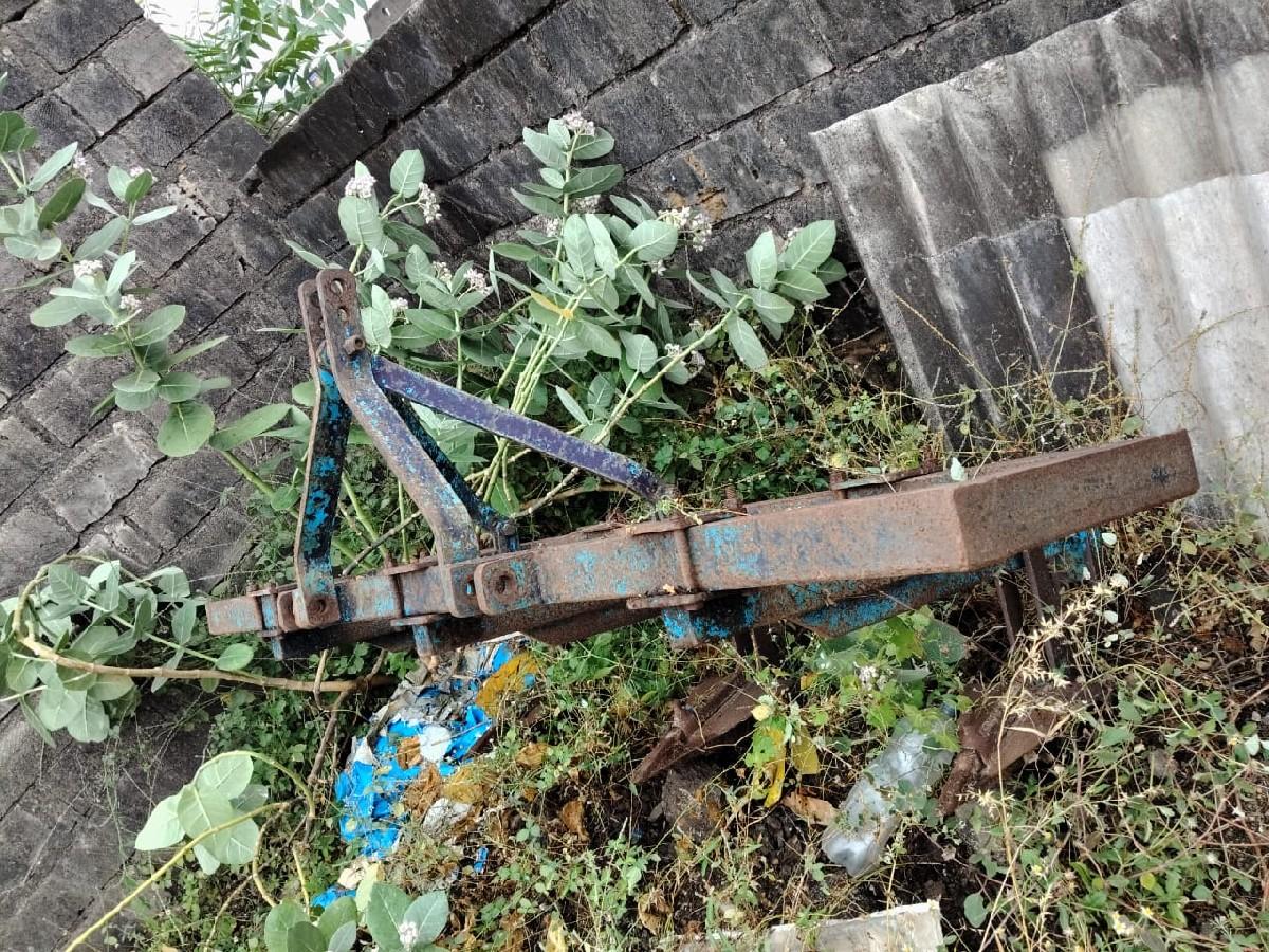 પંસીઆ વેશ્વાના છે