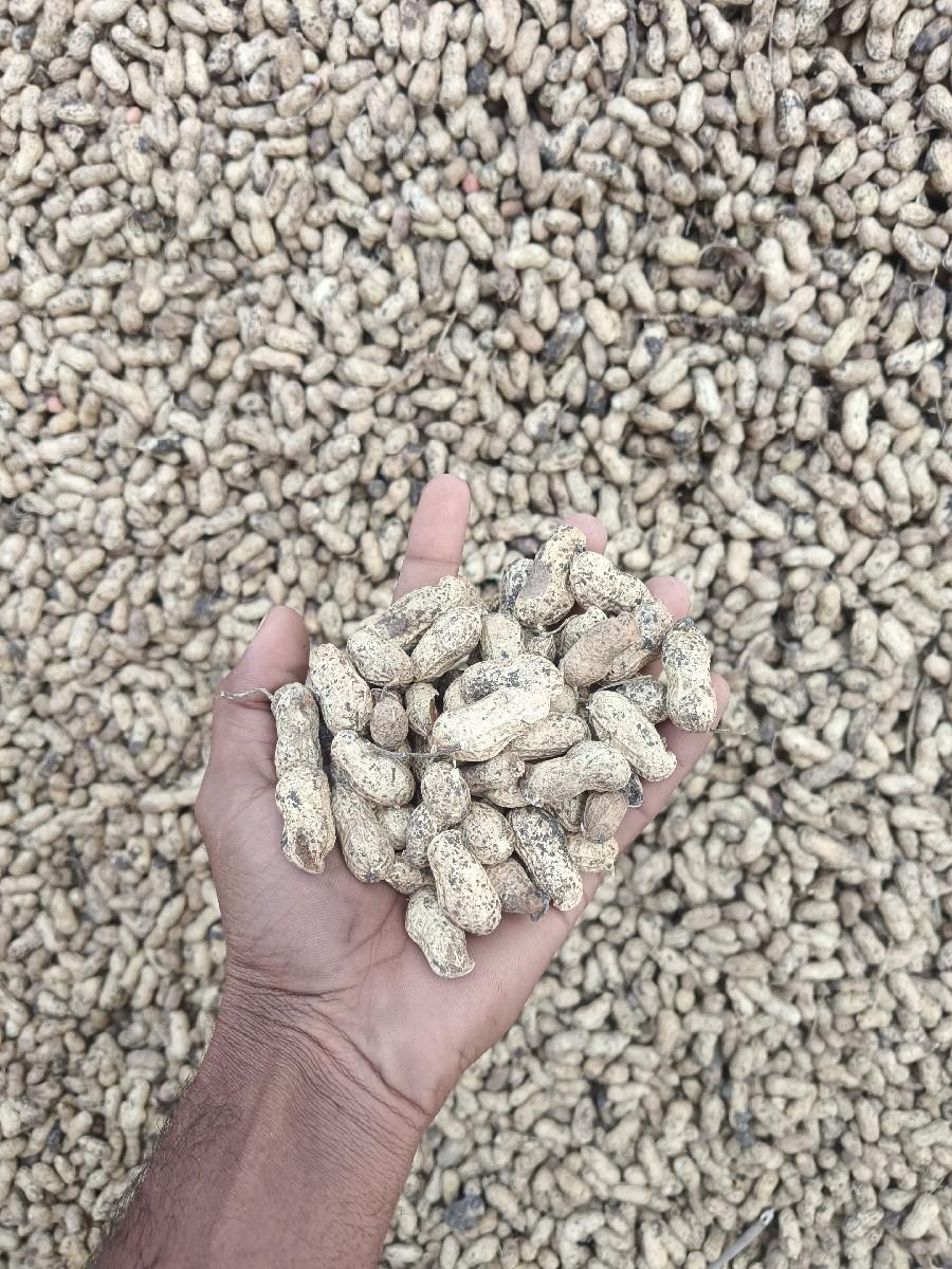 G 22 વેચવાની છે