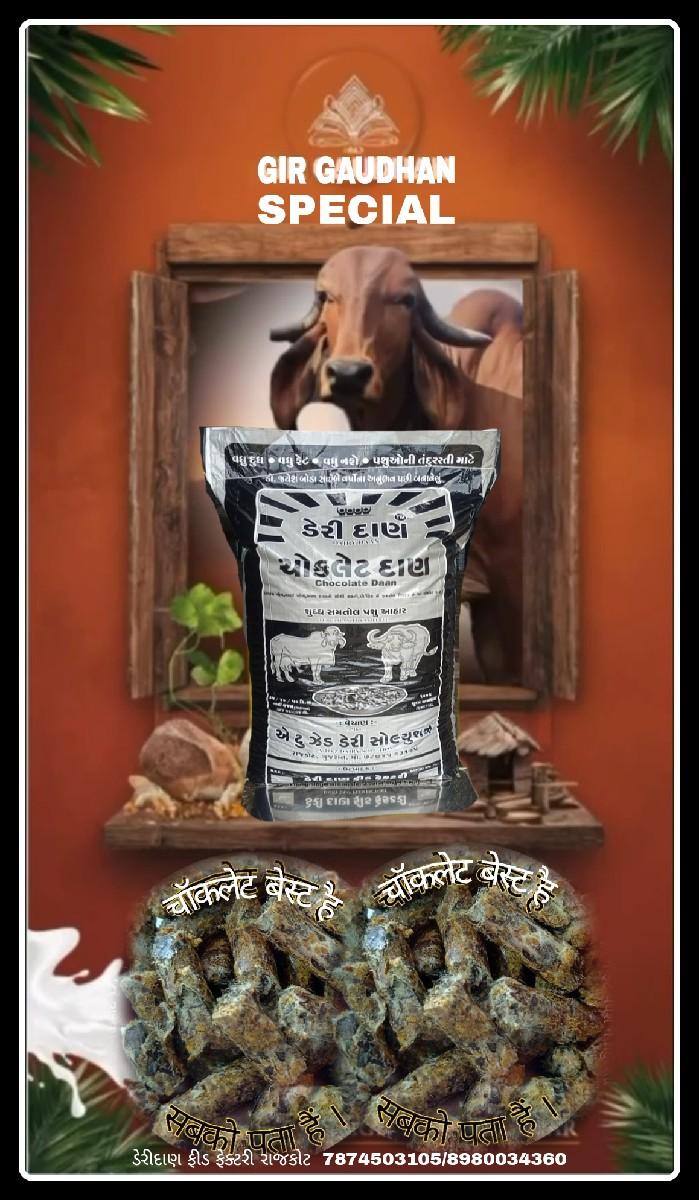 થંબનેલ 5