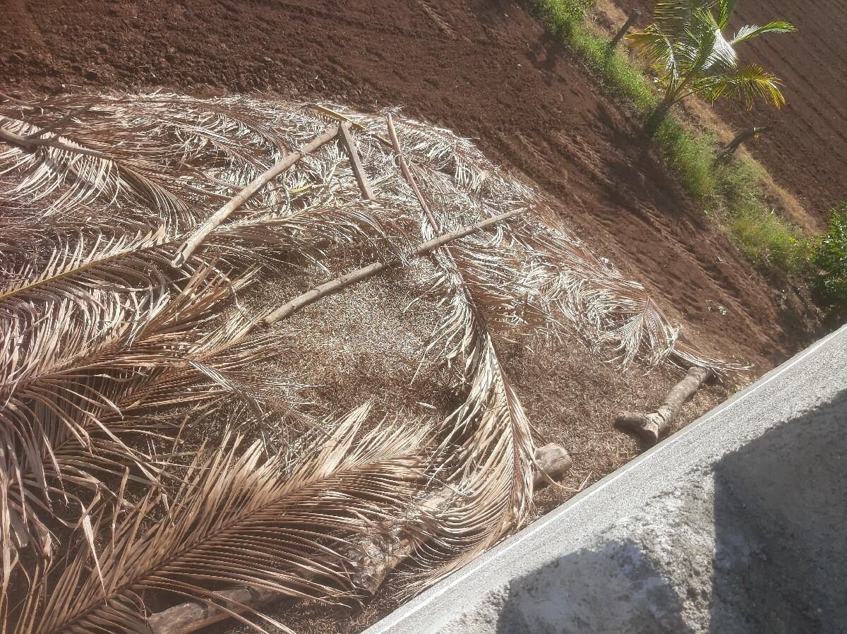 bavisai na mahi vari kinal