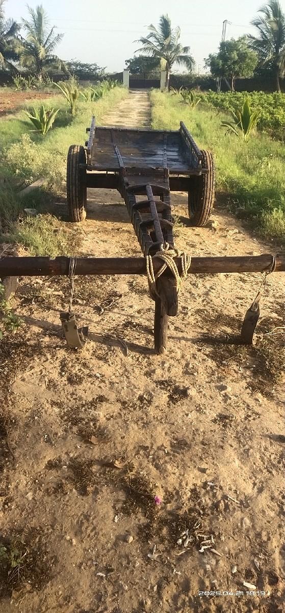 થંબનેલ 3