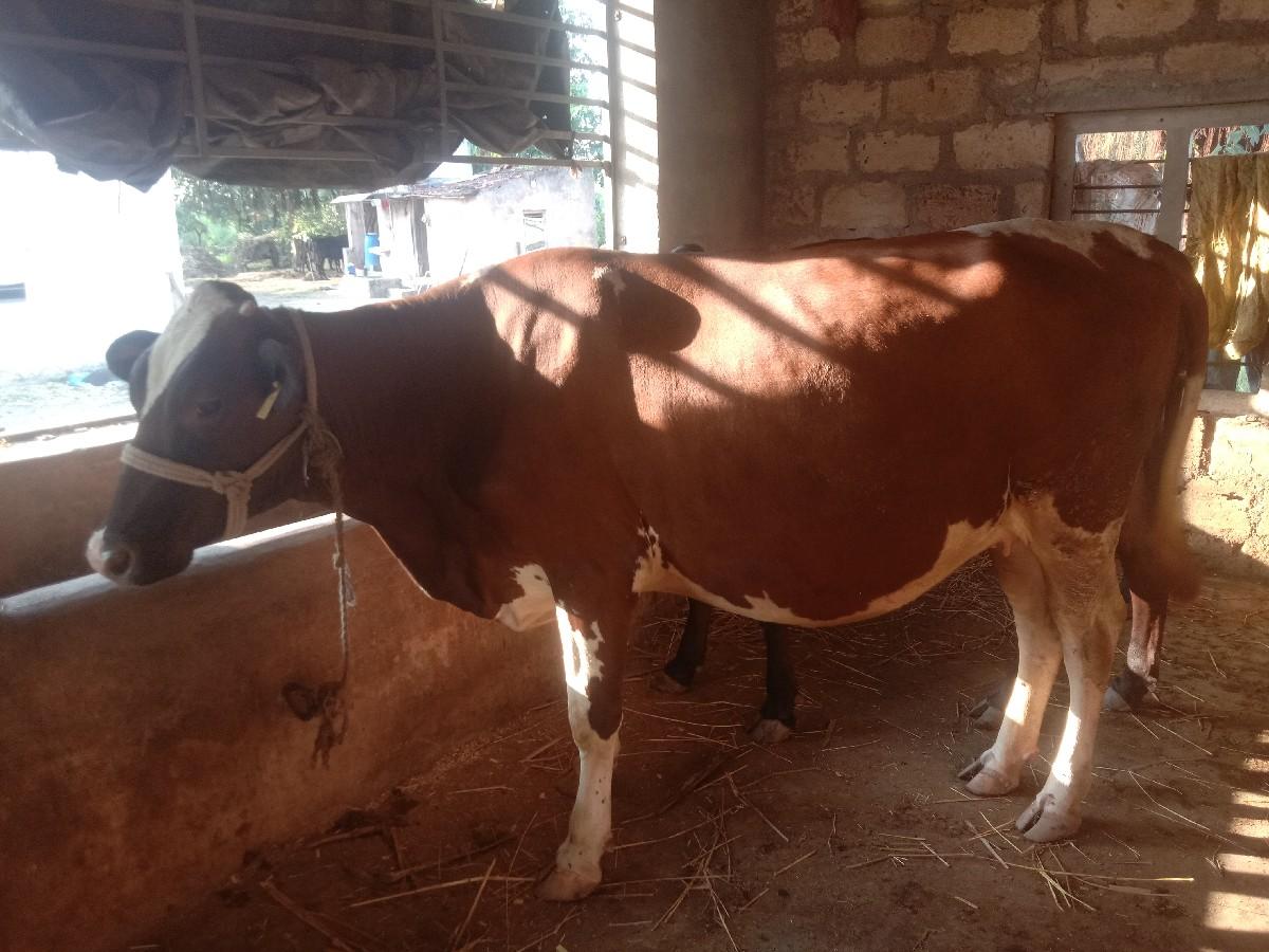 થંબનેલ 3