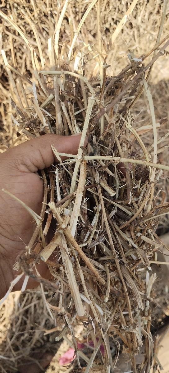 થંબનેલ 4