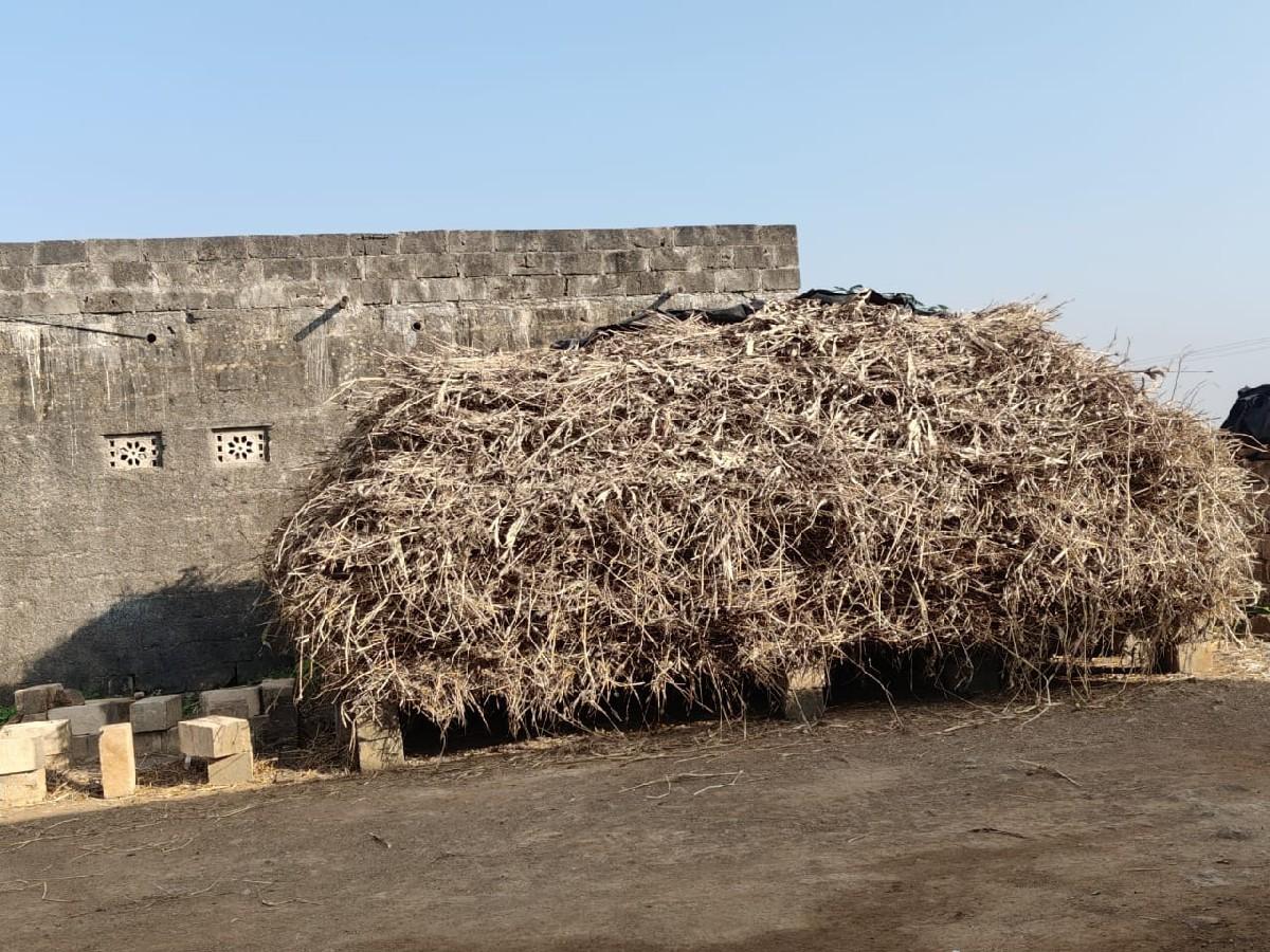 જૂવાર વેચવાનીછે