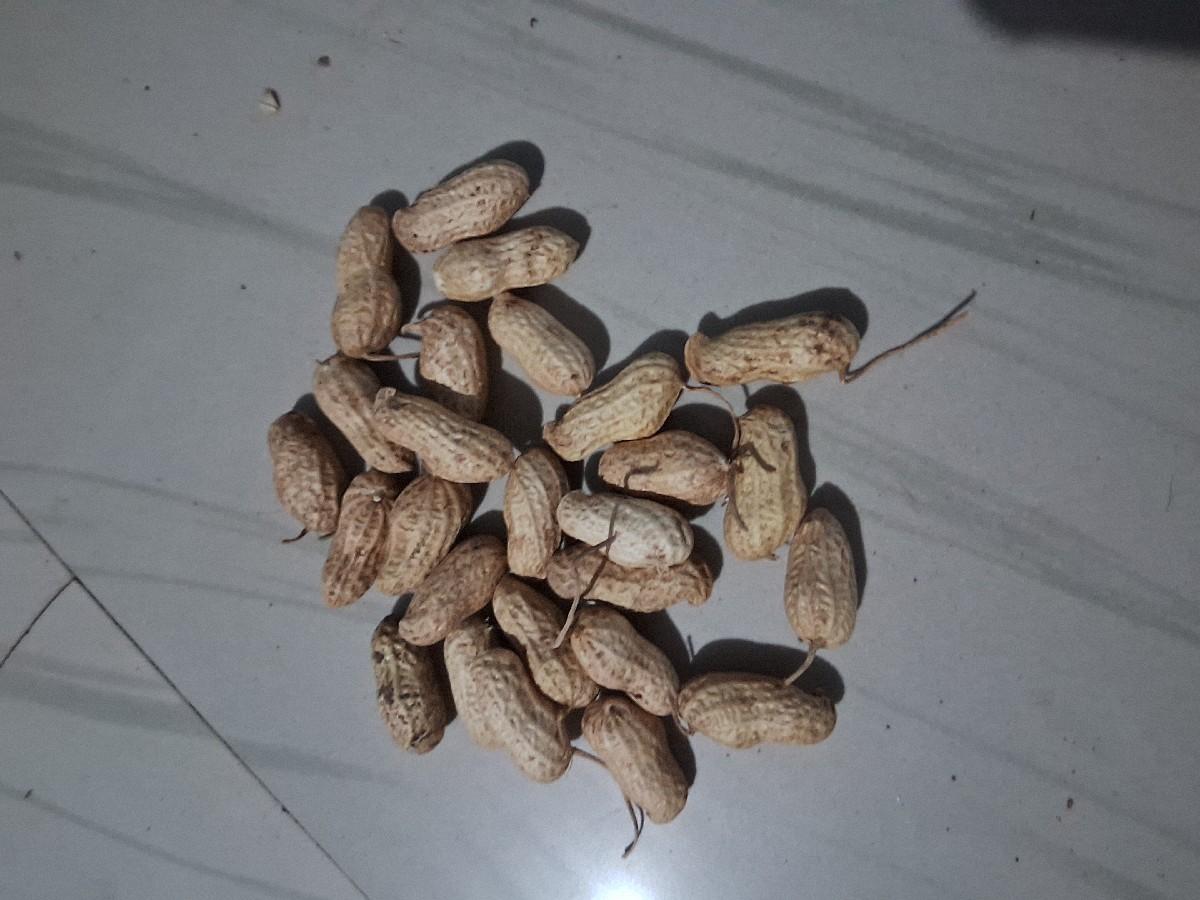 થંબનેલ 3