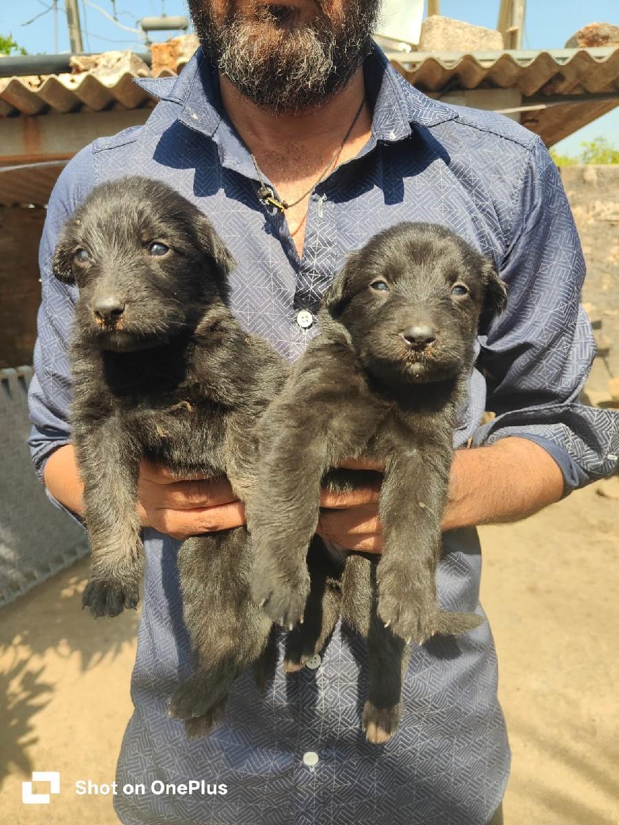 થંબનેલ 3