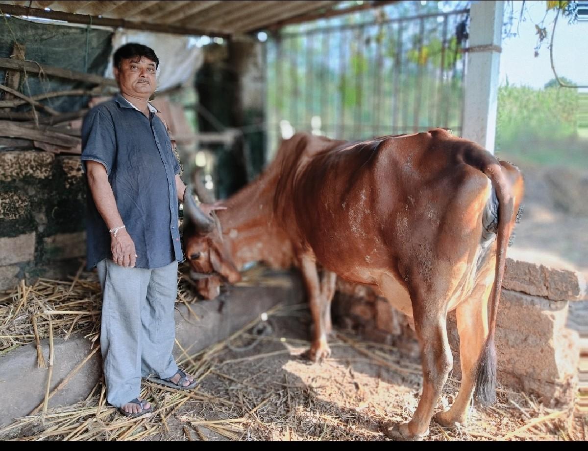 9714310743 આનંબર માં ફોન કરવો