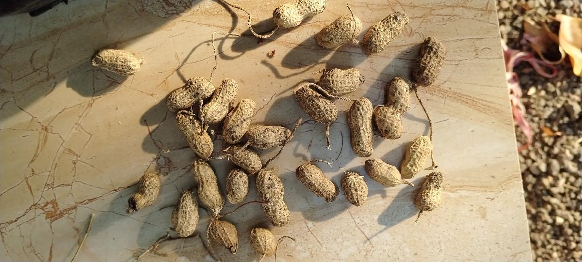 39 number 
20 number 
22 number