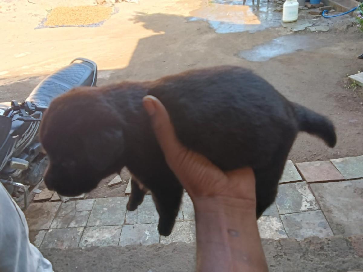 થંબનેલ 2