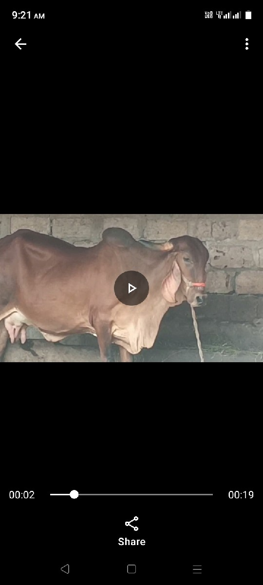 ઞાય વેશવાની છે