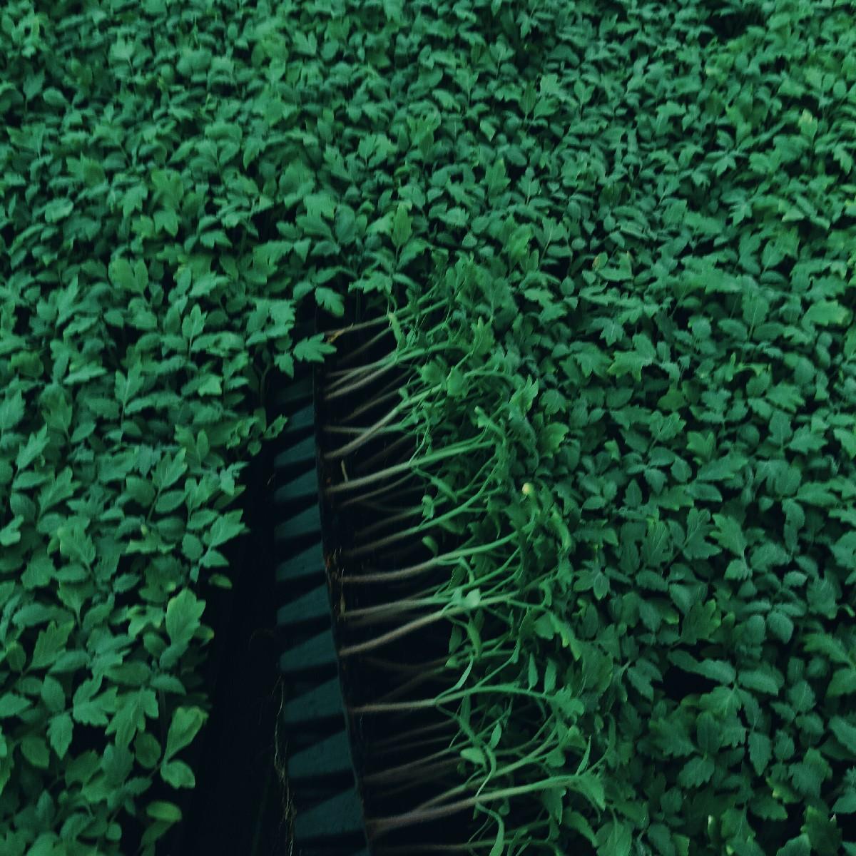 थंबनेल 6