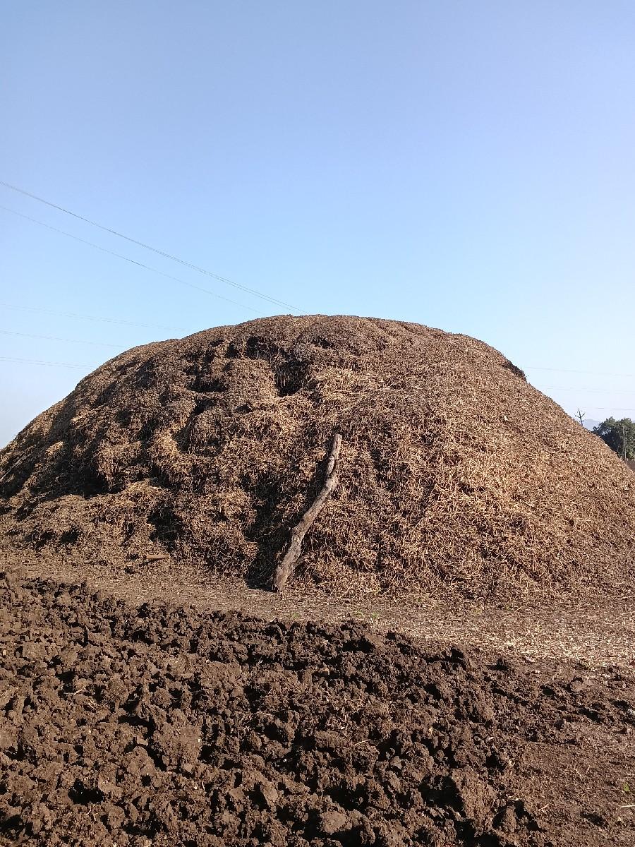 મગફળી નો ભૂકો સાવ કોરો વેચવાનો સે