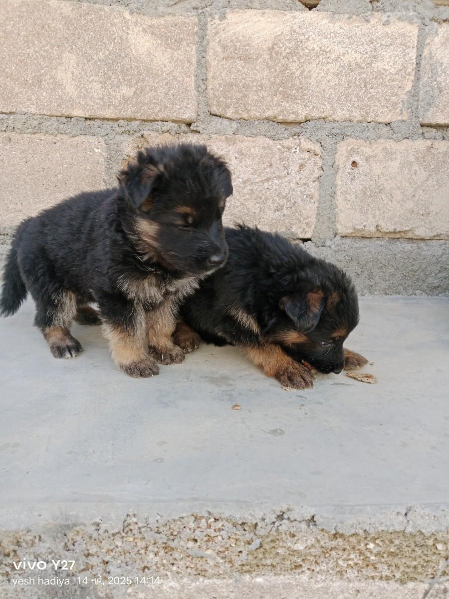 થંબનેલ 2