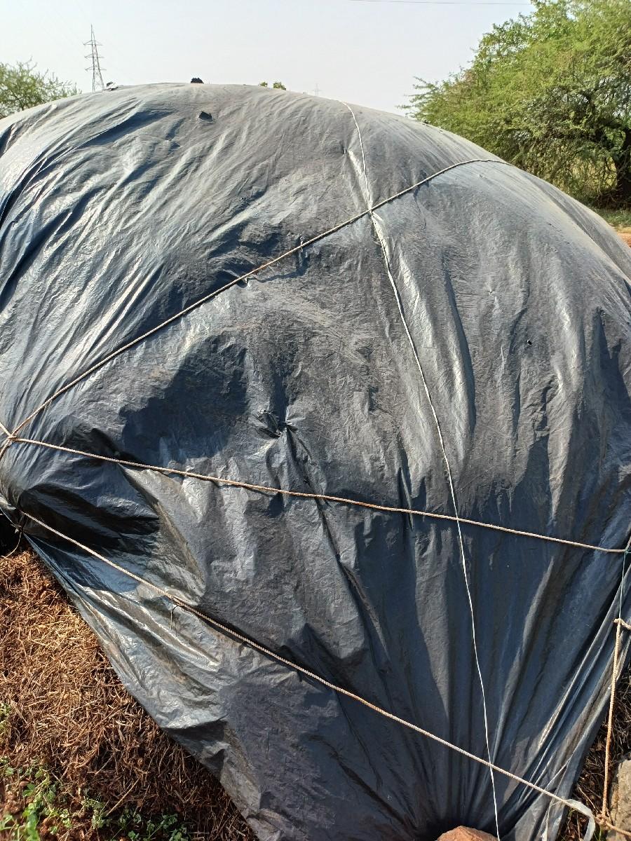 Girnar Charno Mandav