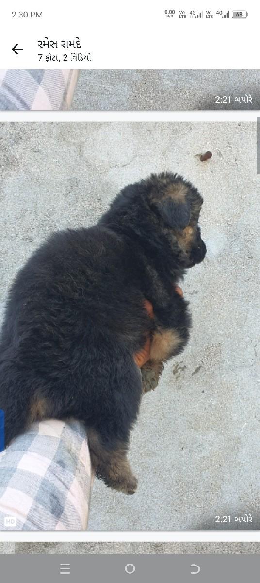 થંબનેલ 3