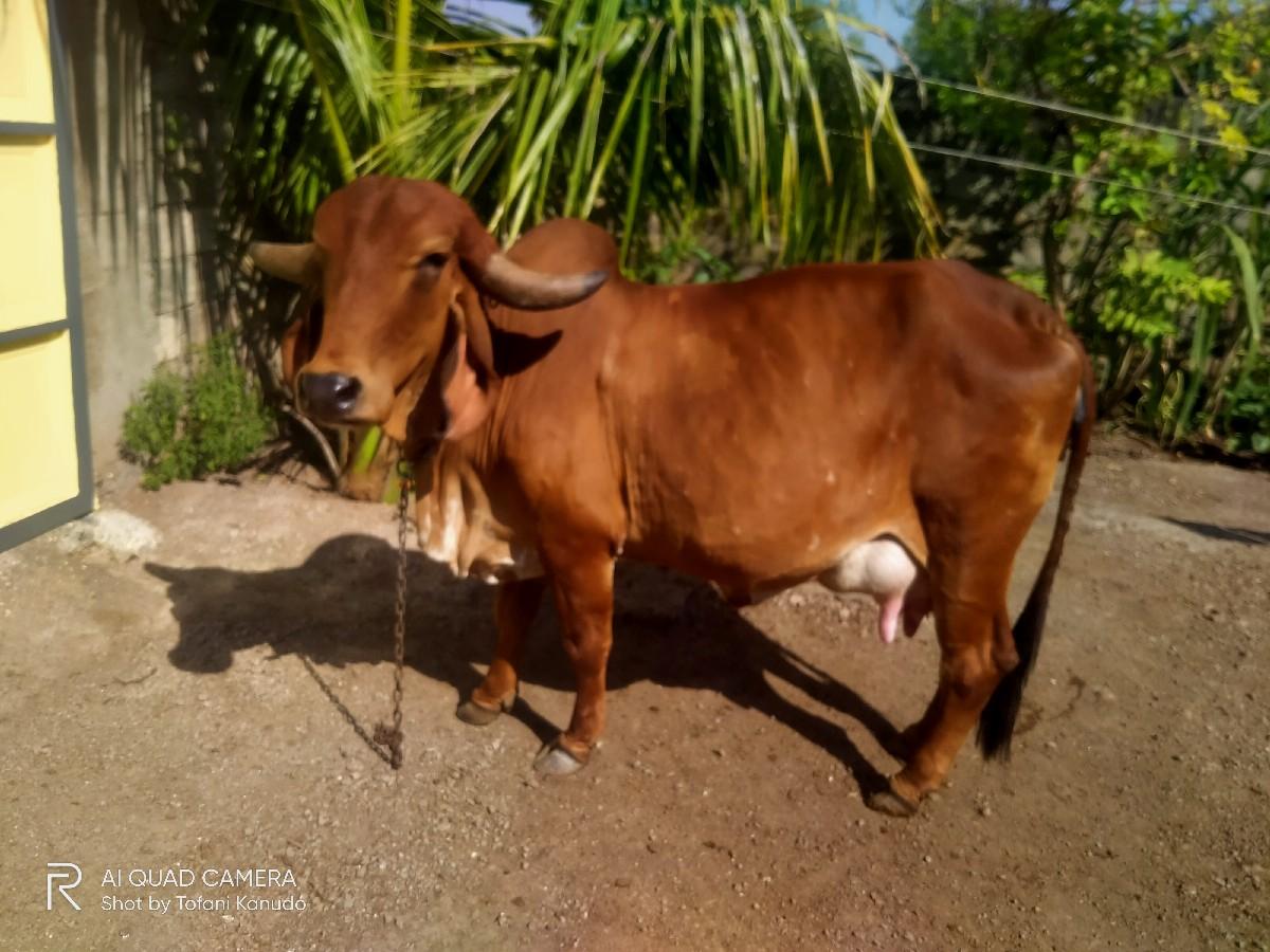 થંબનેલ 3