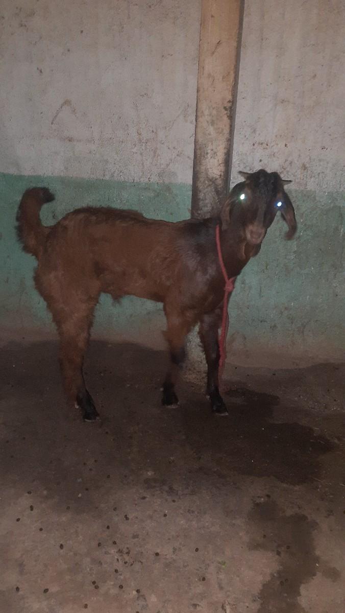 થંબનેલ 3