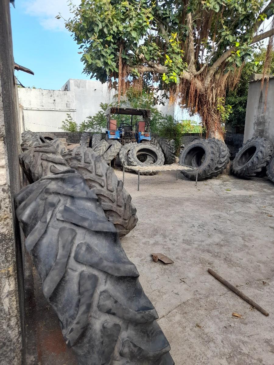 થંબનેલ 2