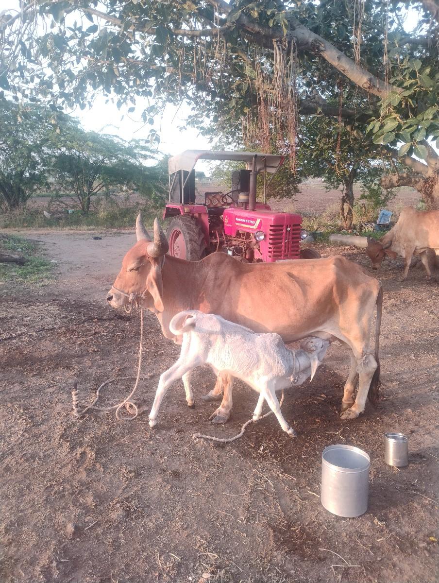 થંબનેલ 2