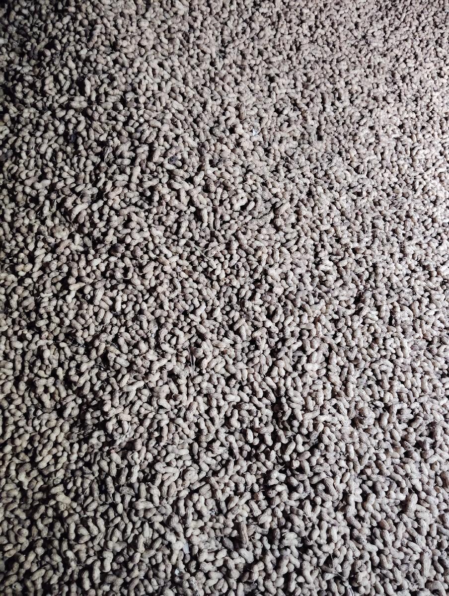 55 નબર માડવી છે