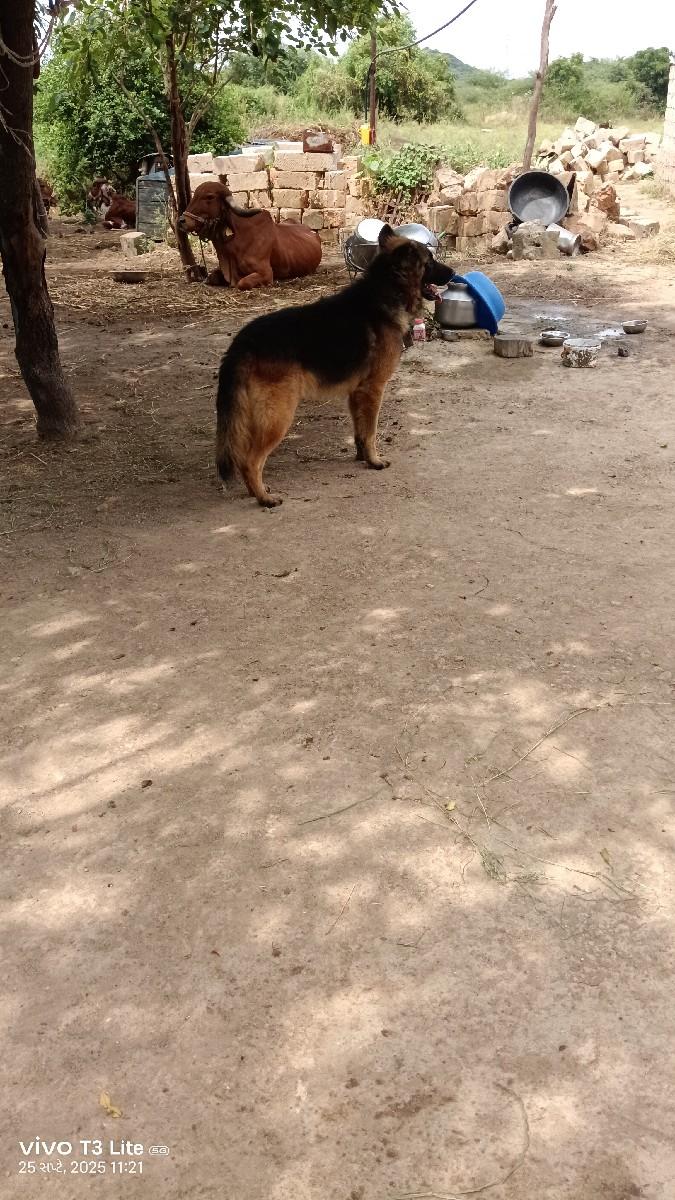 થંબનેલ 2