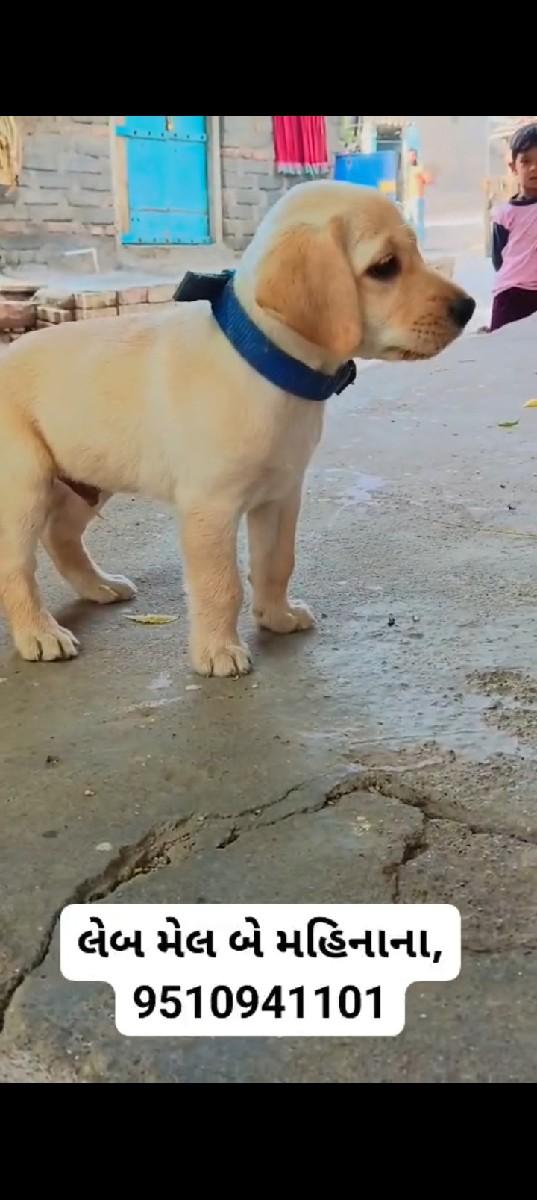 થંબનેલ 3