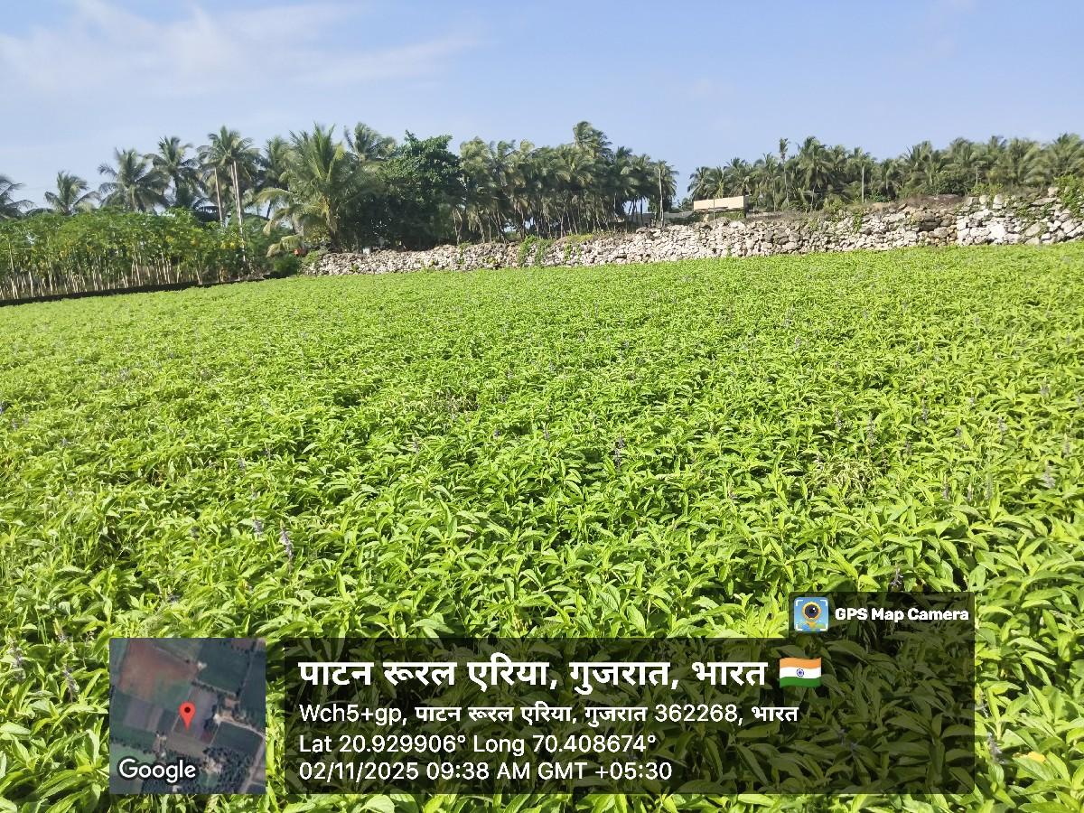 थंबनेल 3