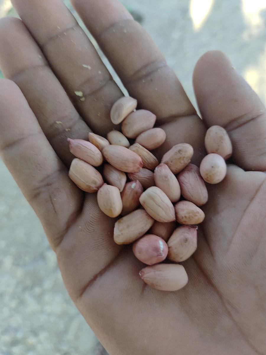 થંબનેલ 3