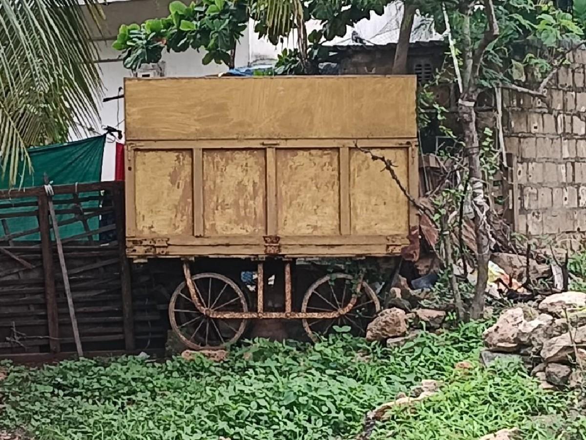 થંબનેલ 2