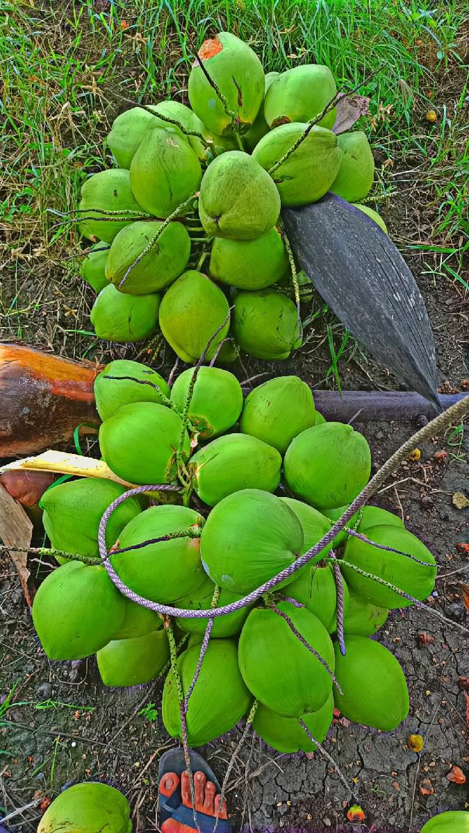 थंबनेल 3