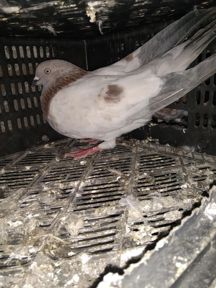 થંબનેલ 3