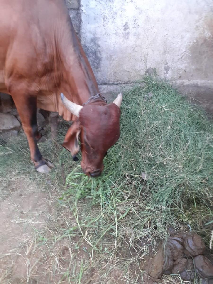 થંબનેલ 3