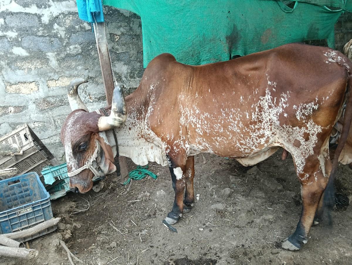 थंबनेल 2