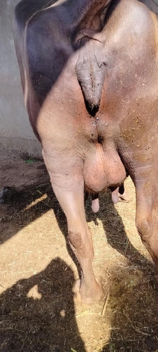 થંબનેલ 2