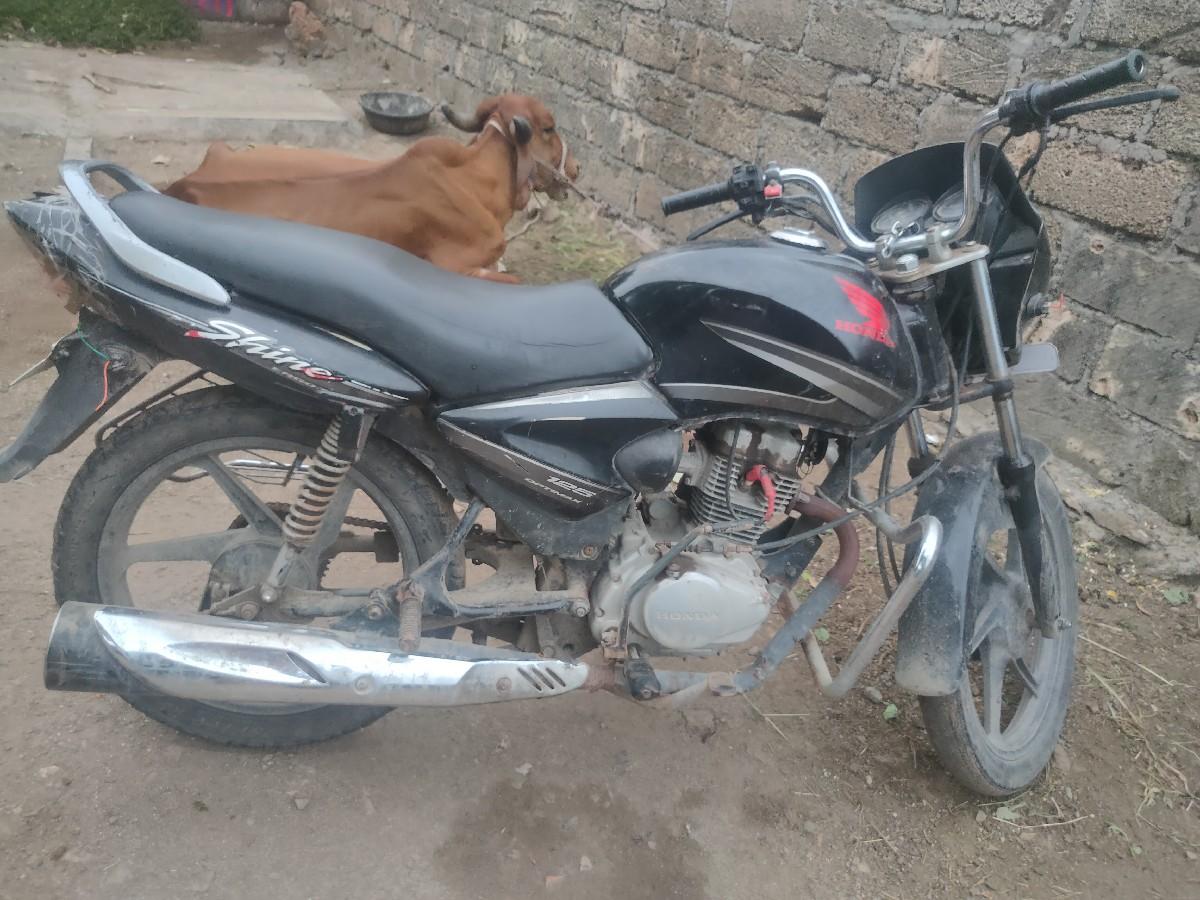 થંબનેલ 3