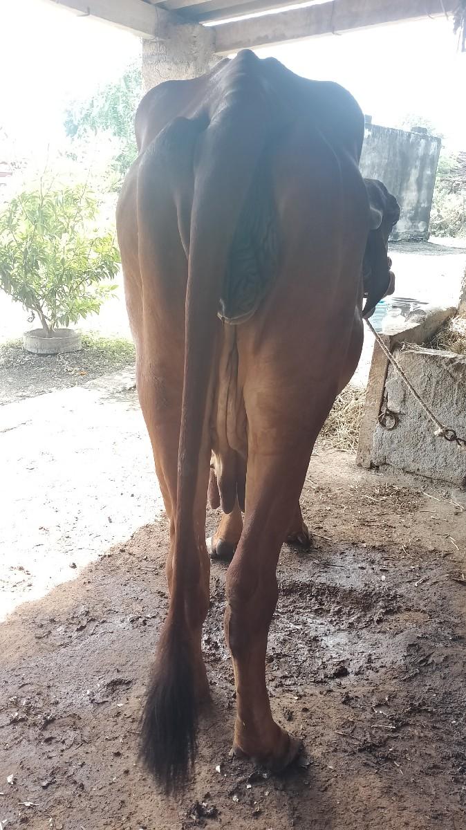 થંબનેલ 2