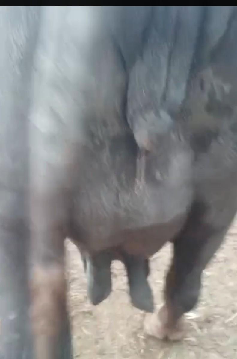 થંબનેલ 2