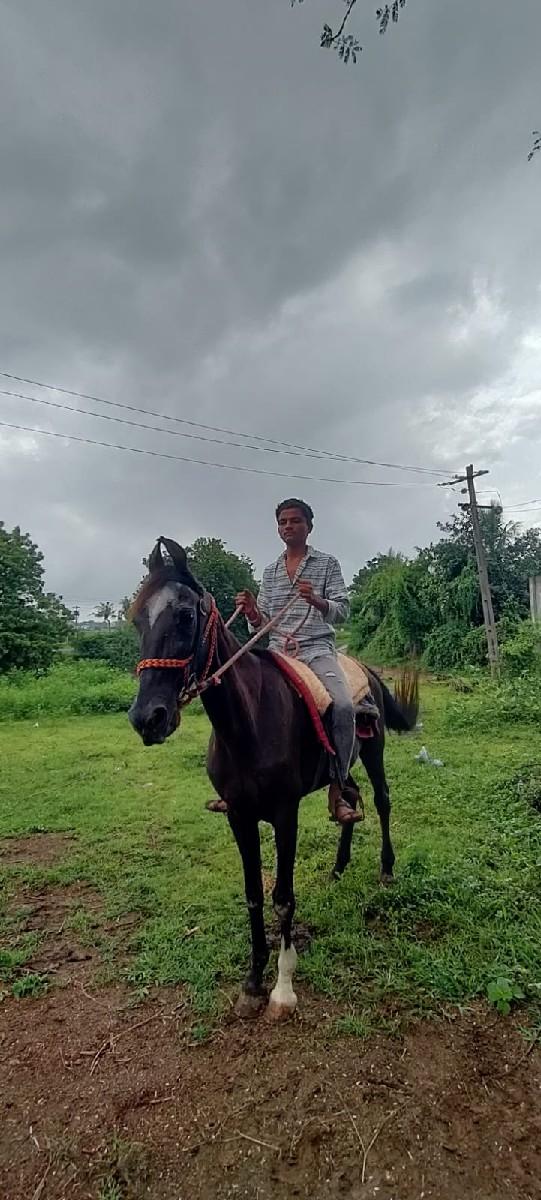 થંબનેલ 3