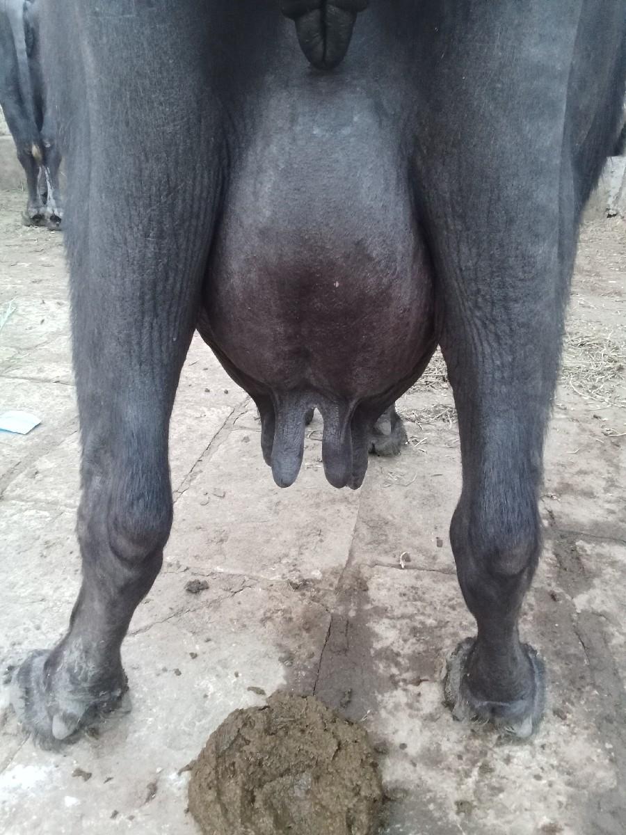 થંબનેલ 2