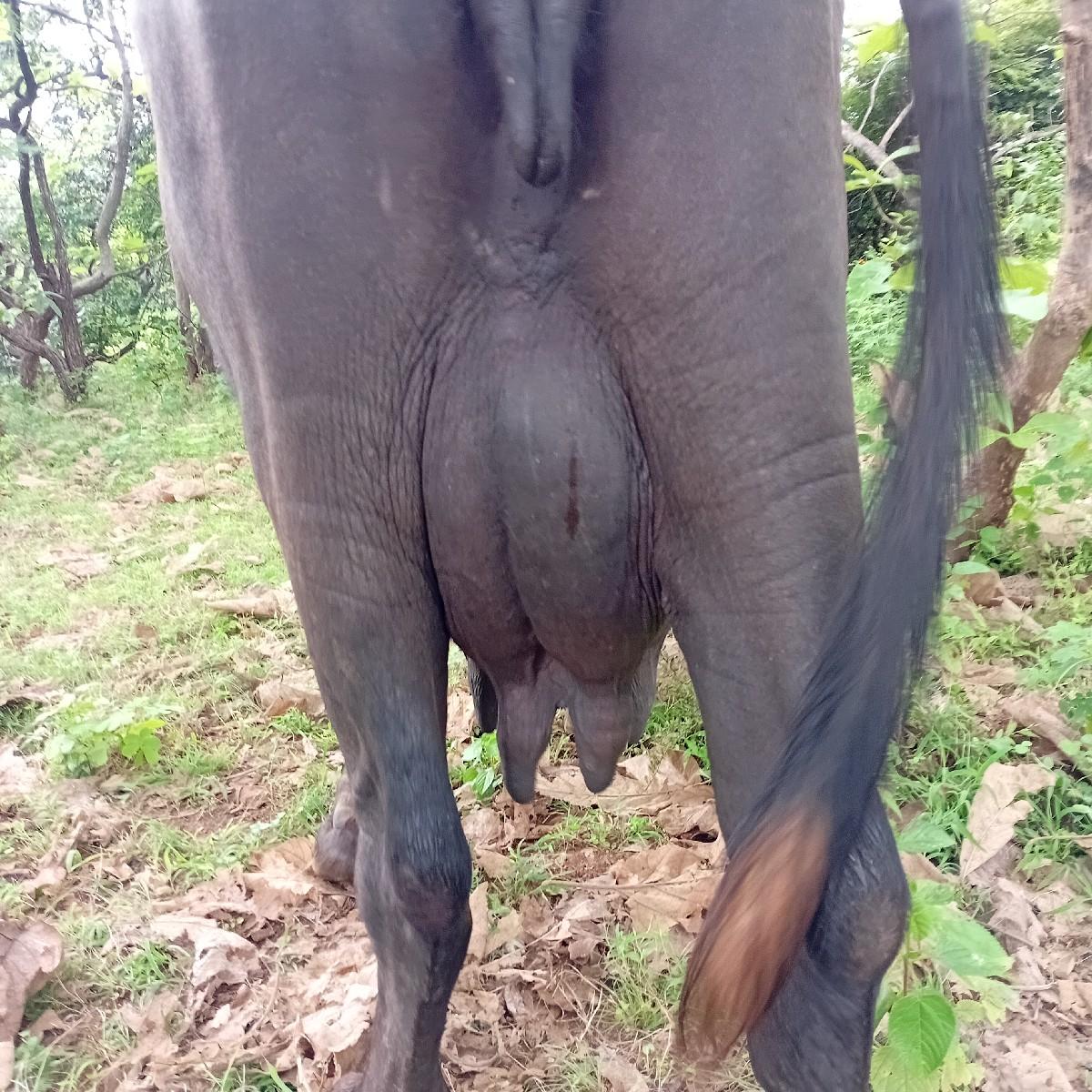 થંબનેલ 3