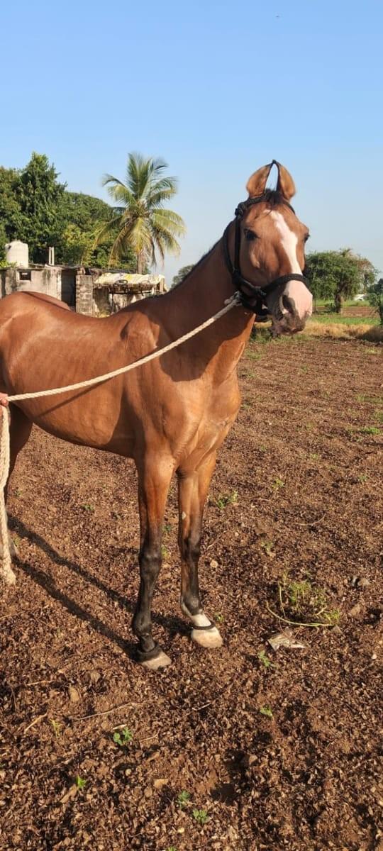 થંબનેલ 3