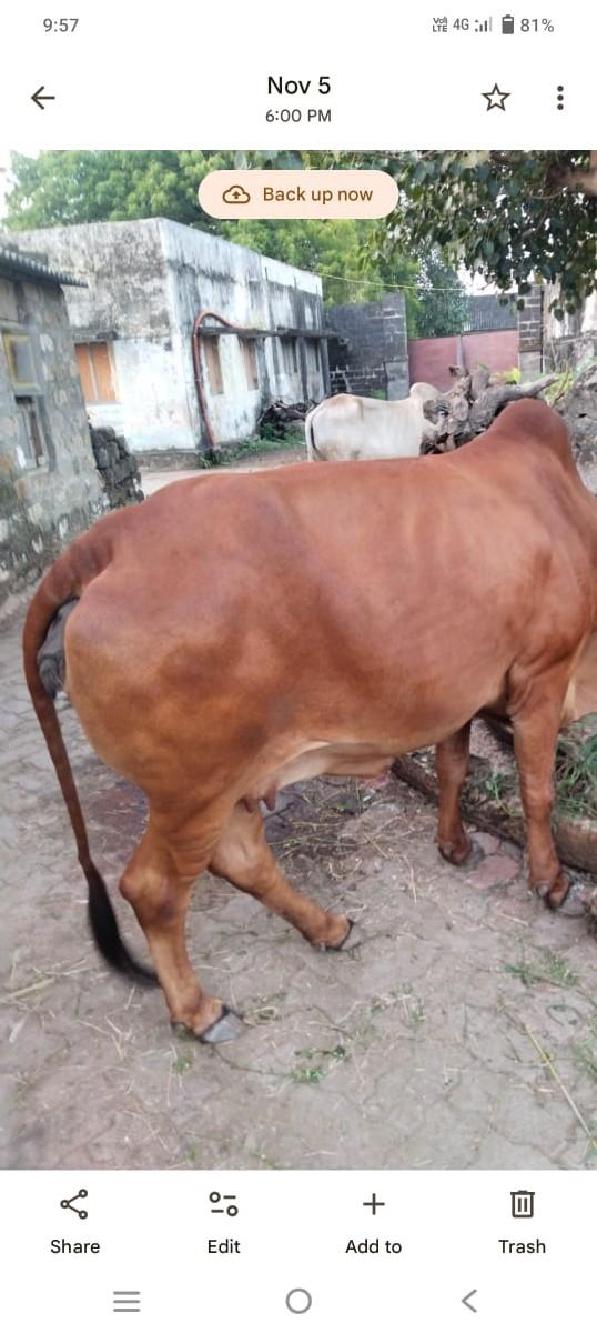 થંબનેલ 3