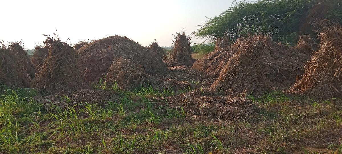 વેચવાની છે