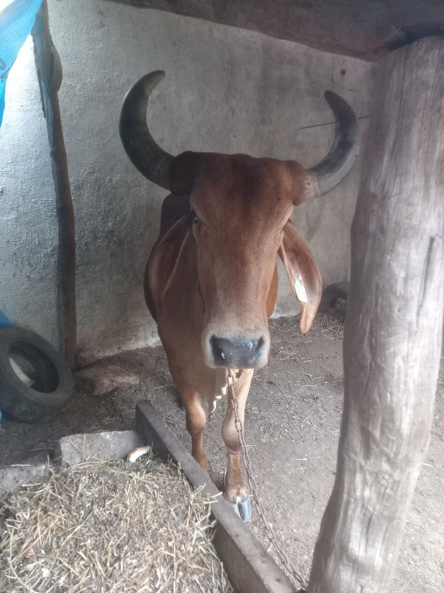 થંબનેલ 2