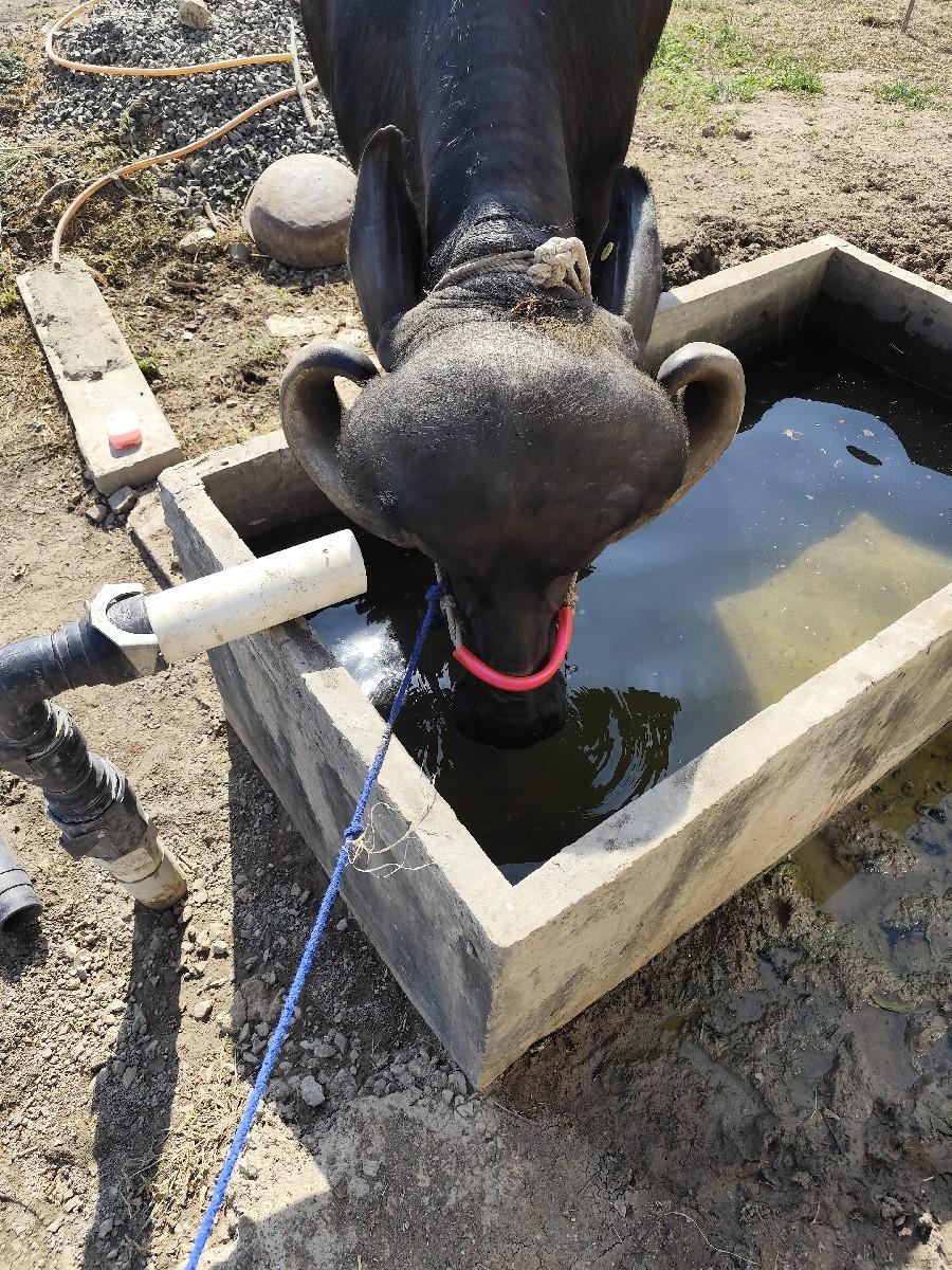 થંબનેલ 2