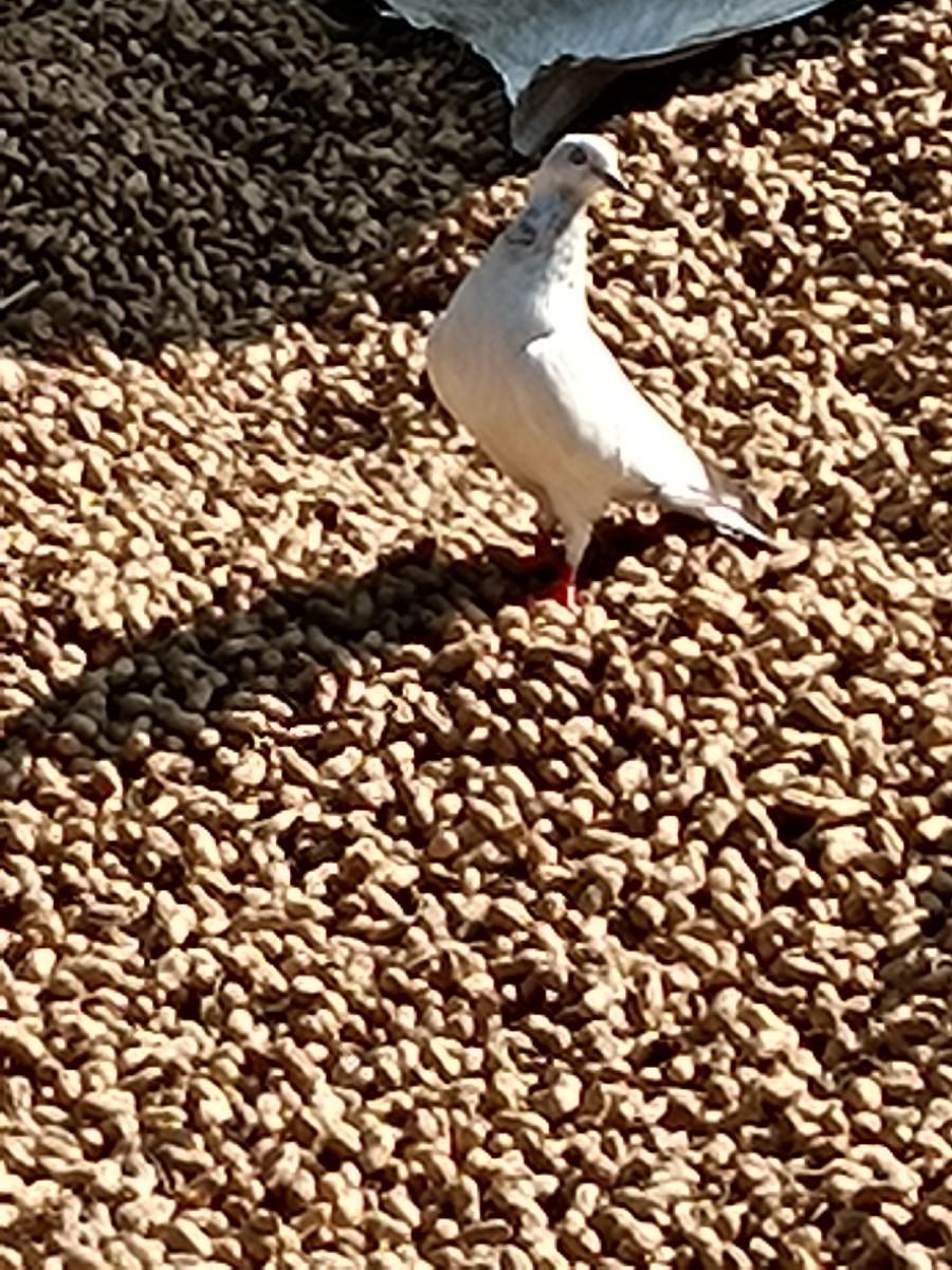 થંબનેલ 3