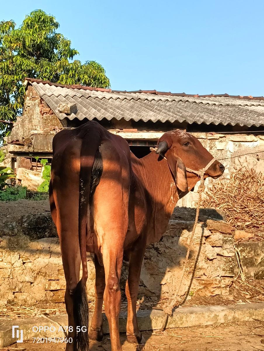 થંબનેલ 4